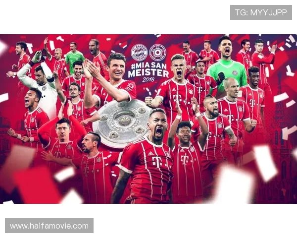 德甲斯特凡·维德默队长